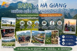 Sapa